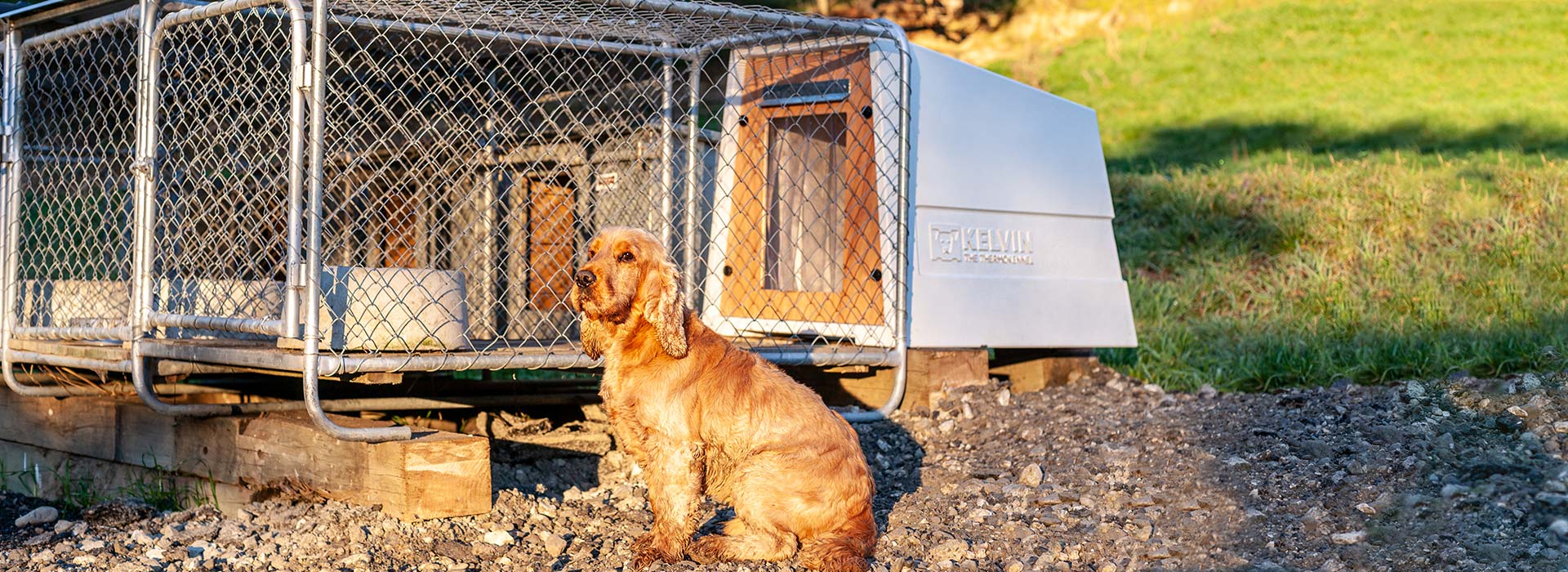 Kelvin the Thermokennel