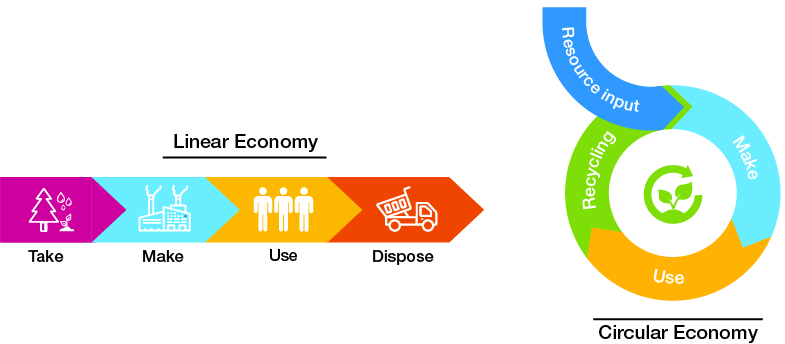 Linear Economy vs Circular Economy